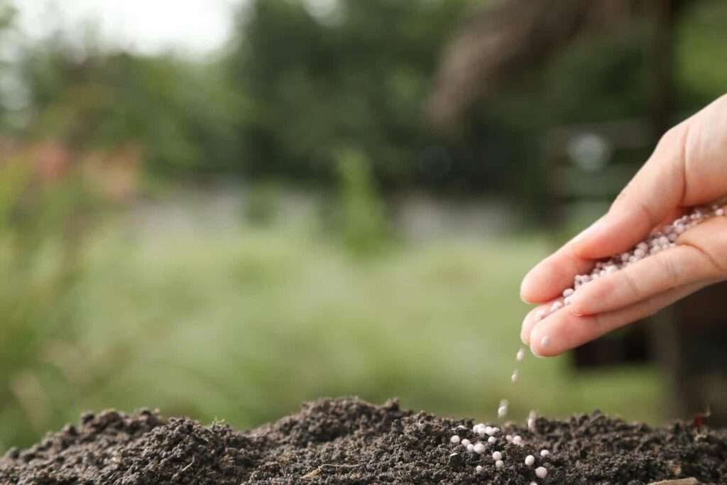 5. Fertilizing the Garden