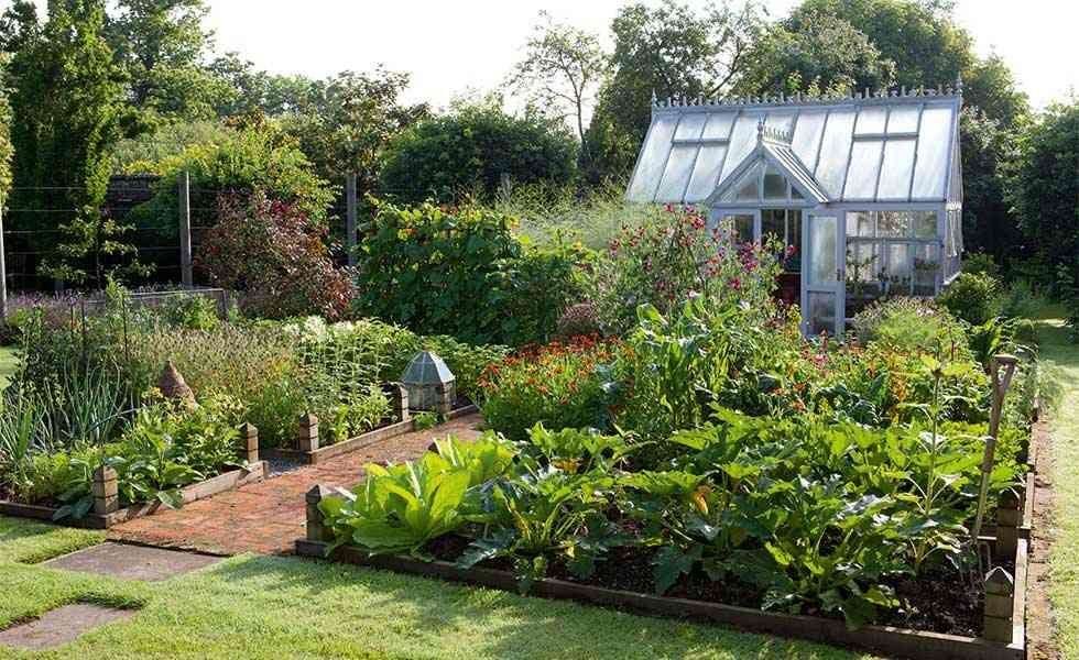 Kitchen Garden