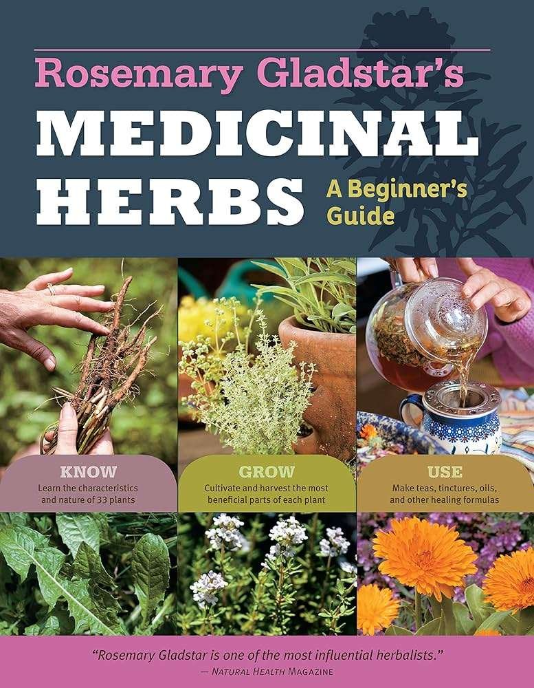 Medicinal Herbs: A Beginner's Guide by Rosemary Gladstar