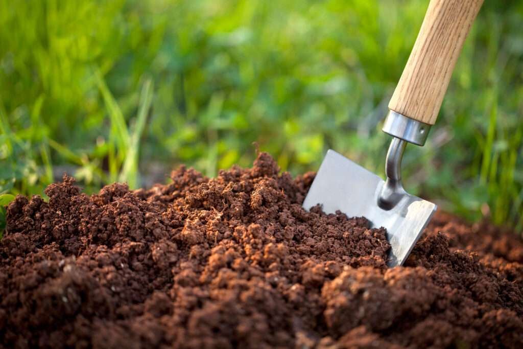 How to prepare the soil for gardening