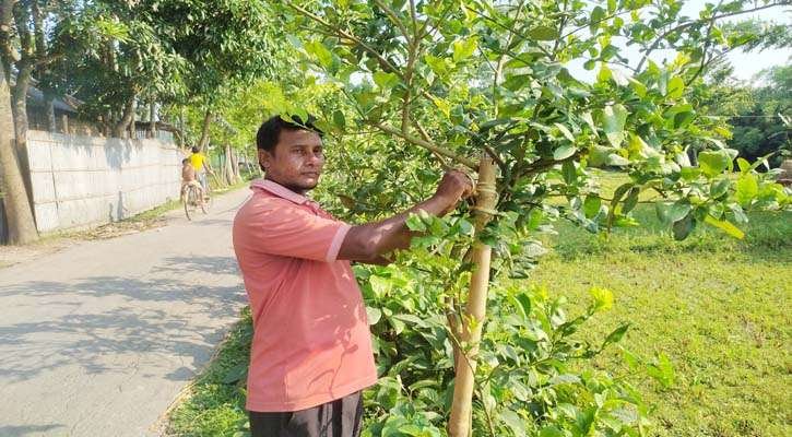 Protection of newly planted trees: