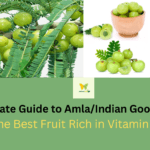 The Ultimate Guide to Amla/Indian Gooseberries: The Best Fruit Rich in Vitamin C